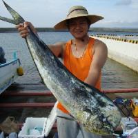 アジロボート釣果写真