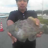 アジロボート釣果写真