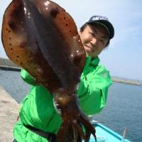 アジロボート釣果写真