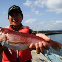 アジロボート釣果写真