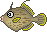 [َR̃^{[gBނ苛}ӃJnM